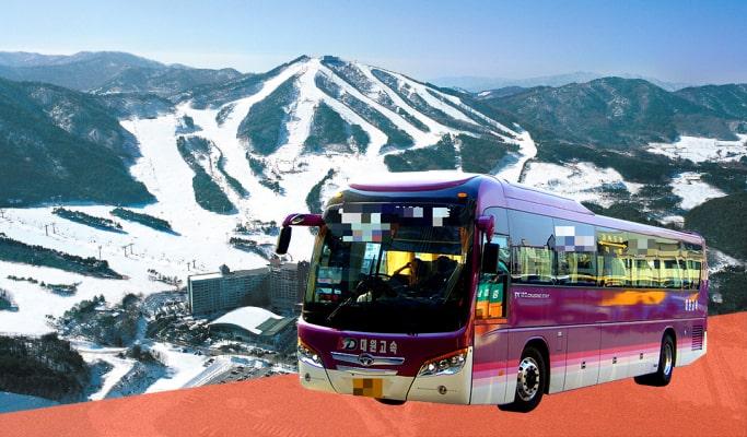 Seoul ↔ Welli Hilli Park Ski Resort Shuttle Bus - main view