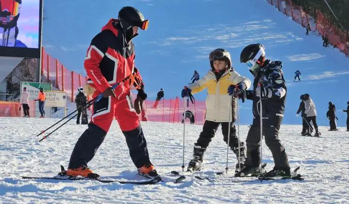 Welli Hilli Park Ski Resort: Private Ski Lesson (Lesson Only) - main view